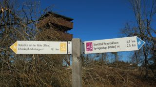 Link to Video | Rhineland-Palatinate, Hunsrück-Hochwald National Park, Germany, Western Europe, Central Europe, Hunsrück, Erbeskopf, Mittelgebirge