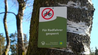 Link to Video | Rhineland-Palatinate, Hunsrück-Hochwald National Park, Germany, Western Europe, Central Europe, Hunsrück, Erbeskopf, Mittelgebirge
