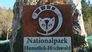 Link to Video | Rhineland-Palatinate, Hunsrück-Hochwald National Park, Germany, Western Europe, Central Europe, Hunsrück, Erbeskopf, Mittelgebirge
