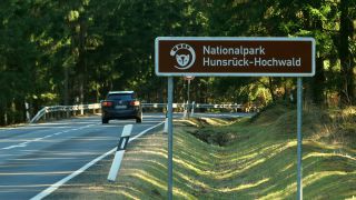 Link to Video | Rhineland-Palatinate, Hunsrück-Hochwald National Park, Germany, Western Europe, Central Europe, Hunsrück, Erbeskopf, Mittelgebirge
