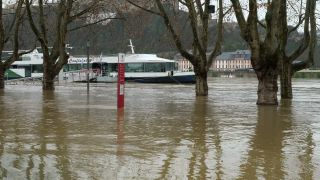 Link to Video | national waterways in Germany, February, Rhineland-Palatinate, waterway, natural phenomenon, Moselle, Germany, water, high tide, Koblenz, river, 2021, natural watercourse, main stream, Rhine, natural disaster, flood