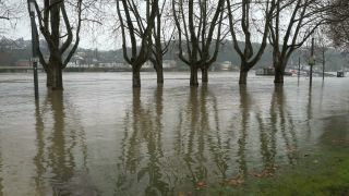 Link to Video | national waterways in Germany, February, Rhineland-Palatinate, waterway, natural phenomenon, Moselle, Germany, water, high tide, Koblenz, river, 2021, natural watercourse, main stream, Rhine, natural disaster, flood