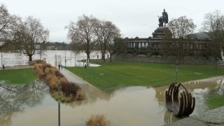 Link to Video | national waterways in Germany, February, Rhineland-Palatinate, waterway, natural phenomenon, Moselle, Germany, water, high tide, Koblenz, river, 2021, natural watercourse, main stream, Rhine, natural disaster, flood