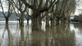 Link to Video | national waterways in Germany, February, Rhineland-Palatinate, waterway, natural phenomenon, Moselle, Germany, water, high tide, Koblenz, river, 2021, natural watercourse, main stream, Rhine, natural disaster, flood