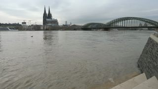 Link to Video | national waterways in Germany, North Rhine-Westphalia, waterway, Germany, Western Europe, Central Europe, high tide, Cologne, river, Europe, main stream, Rhine, natural disaster, flood
