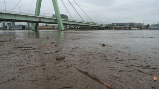 Link to Video | national waterways in Germany, North Rhine-Westphalia, waterway, Germany, Western Europe, Central Europe, high tide, Cologne, river, Europe, main stream, Rhine, natural disaster, flood