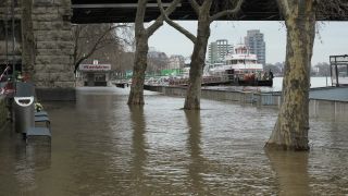 Link to Video | national waterways in Germany, North Rhine-Westphalia, waterway, Germany, Western Europe, Central Europe, high tide, Cologne, river, Europe, main stream, Rhine, natural disaster, flood