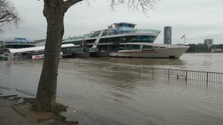 Link to Video | national waterways in Germany, North Rhine-Westphalia, waterway, Germany, Western Europe, Central Europe, high tide, Cologne, river, Europe, main stream, Rhine, natural disaster, flood