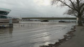 Link to Video | national waterways in Germany, North Rhine-Westphalia, waterway, Germany, Western Europe, Central Europe, high tide, Cologne, river, Europe, main stream, Rhine, natural disaster, flood