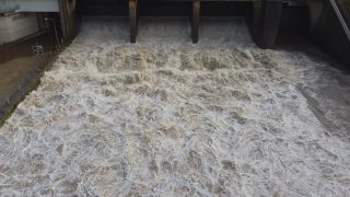 Link to Video | Rhineland-Palatinate, body of water, Saar, Germany, fluid flow, water, waterfall, barrage, river, Europe, Serrig, nature, flood, Trier-Saarburg