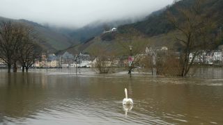 Link to Video | Rhineland-Palatinate, natural phenomenon, Moselle, Germany, flooded village, water, high tide, Mittelmosel, river, Naturkraft, natural disaster, flood