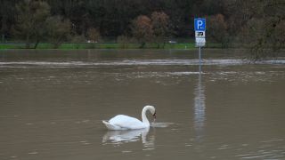 Link to Video | Rhineland-Palatinate, natural phenomenon, Moselle, Germany, flooded village, water, high tide, Mittelmosel, river, Naturkraft, natural disaster, flood