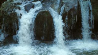 Link to Video