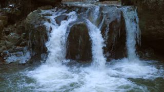 Link to Video