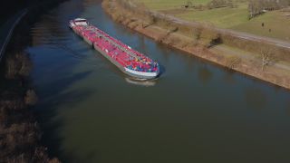 Link to Video