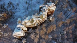 Link to Video | tree, bird's-eye view, winter, Saar, Saar-Hunsrück Nature Park, Naturpark, season, forest, aerial shot, Kastel-Staadt, snow, woody plant, Trier-Saarburg
