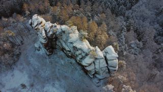 Link to Video | tree, bird's-eye view, winter, Saar, Saar-Hunsrück Nature Park, Naturpark, season, forest, aerial shot, Kastel-Staadt, snow, woody plant, Trier-Saarburg