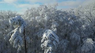 Link to Video | landscape, tree, bird's-eye view, winter, territorial entity, season, landform, Hunsrück, forest, aerial shot, snow, nature, Kell am See