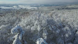 Link zum Video | Landschaft, Baum, Vogelperspektive, Winter, Gebiet, Jahreszeit, Landform, Hunsrück, Wald, Luftaufnahme, Schnee, Natur, Kell am See