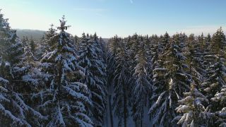 Link to Video | landscape, tree, bird's-eye view, winter, territorial entity, season, landform, Hunsrück, forest, aerial shot, snow, nature, Kell am See