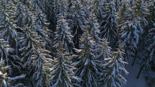 Link to Video | landscape, tree, bird's-eye view, winter, territorial entity, season, landform, Hunsrück, forest, aerial shot, snow, nature, Kell am See