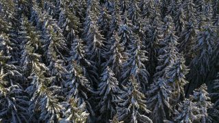Link zum Video | Landschaft, Baum, Vogelperspektive, Winter, Gebiet, Jahreszeit, Landform, Hunsrück, Wald, Luftaufnahme, Schnee, Natur, Kell am See