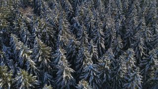 Link to Video | landscape, tree, bird's-eye view, winter, territorial entity, season, landform, Hunsrück, forest, aerial shot, snow, nature, Kell am See