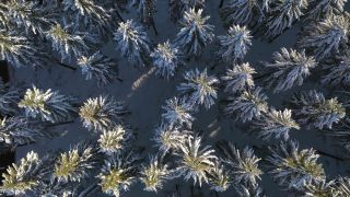 Link zum Video | Landschaft, Baum, Vogelperspektive, Winter, Gebiet, Jahreszeit, Landform, Hunsrück, Wald, Luftaufnahme, Schnee, Natur, Kell am See