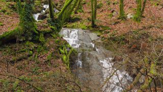 Link to Video | landscape, liquid, Saarland, Dreisbach, Germany, water, watercourse, forest, stream, Wasserlauf, Steinbachtal westlich Saarschleife, nature