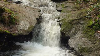 Link to Video | landscape, liquid, Saarland, Dreisbach, Germany, water, watercourse, forest, stream, Wasserlauf, Steinbachtal westlich Saarschleife, nature