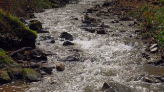 Link to Video | landscape, liquid, Saarland, Dreisbach, Germany, water, watercourse, forest, stream, Wasserlauf, Steinbachtal westlich Saarschleife, nature