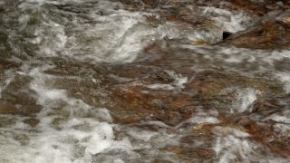 Link zum Video | Landschaft, Flüssigkeit, Saarland, Dreisbach, Deutschland, Wasser, Fließgewässer, Wald, Bach, Wasserlauf, Steinbachtal westlich Saarschleife, Natur