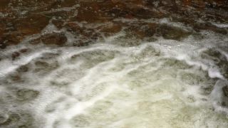 Link to Video | landscape, liquid, Saarland, Dreisbach, Germany, water, watercourse, forest, stream, Wasserlauf, Steinbachtal westlich Saarschleife, nature