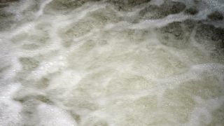 Link to Video | landscape, liquid, Saarland, Dreisbach, Germany, water, watercourse, forest, stream, Wasserlauf, Steinbachtal westlich Saarschleife, nature