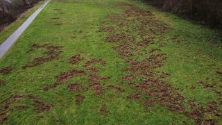 Link to Video | grassland, landscape, Rhineland-Palatinate, wildlife damage, aerial shot, damage, Kastel-Staadt, Sus scrofa, meadow