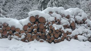 Link to Video | winter, Saar-Hunsrück Nature Park, Woodpile, wood, stack, Hunsrück, forestry, forest, forest product, Greimerath, snow