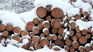 Link to Video | winter, Saar-Hunsrück Nature Park, Woodpile, wood, stack, Hunsrück, forestry, forest, forest product, Greimerath, snow