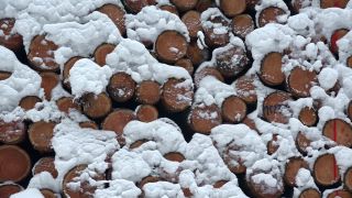 Link zum Video | Winter, Naturpark Saar-Hunsrück, Polter, Holz, Stapel, Hunsrück, Forstwirtschaft, Wald, Forstwirtschaftsprodukt, Greimerath, Schnee