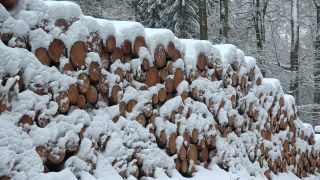 Link to Video | winter, Saar-Hunsrück Nature Park, Woodpile, wood, stack, Hunsrück, forestry, forest, forest product, Greimerath, snow