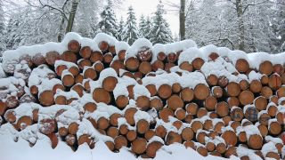 Link to Video | winter, Saar-Hunsrück Nature Park, Woodpile, wood, stack, Hunsrück, forestry, forest, forest product, Greimerath, snow