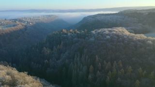 Link to Video | landscape, bird's-eye view, Rhineland-Palatinate, autumn, Germany, Saar-Hunsrück Nature Park, soft rime, forest, aerial shot, Kastel-Staadt, nature
