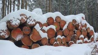 Link to Video | winter, Saar-Hunsrück Nature Park, Woodpile, wood, stack, Hunsrück, forestry, forest, forest product, Greimerath, snow