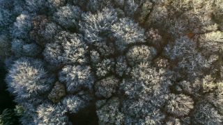 Link to Video | landscape, bird's-eye view, Rhineland-Palatinate, autumn, Germany, Saar-Hunsrück Nature Park, soft rime, forest, aerial shot, Kastel-Staadt, nature