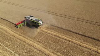 Link to Video | machine, agriculture, bird's-eye view, Saarland, cereal, harvesting machine, Germany, field, harvest, combine harvester, aerial shot, Perl, milieu