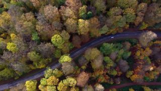 Link to Video | Germany, road, aerial shot, transport, thoroughfare