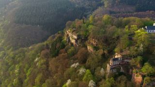 Link to Video | bird's-eye view, Rhineland-Palatinate, Saar, Germany, aerial shot, Trier-Saarburg