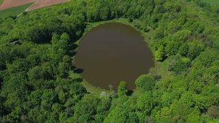 Link to Video | bird's-eye view, Rhineland-Palatinate, Eifel, Germany, Central Europe, aerial shot