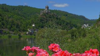 Link to Video | Rhineland-Palatinate, Moselle, Germany, river, Europe, aerial shot, Mosel-Saar-Ruwer