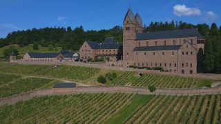 Link to Video | tourist destination, Germany, Europe, aerial shot, tourist attraction, tourism destination, Rhine, architectural structure, point of interest