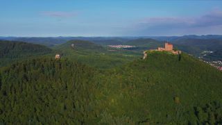 Link to Video | landscape, Rhineland-Palatinate, Germany, Pfalz, Palatinate, forest, Mittelgebirge, Palatinate Forest